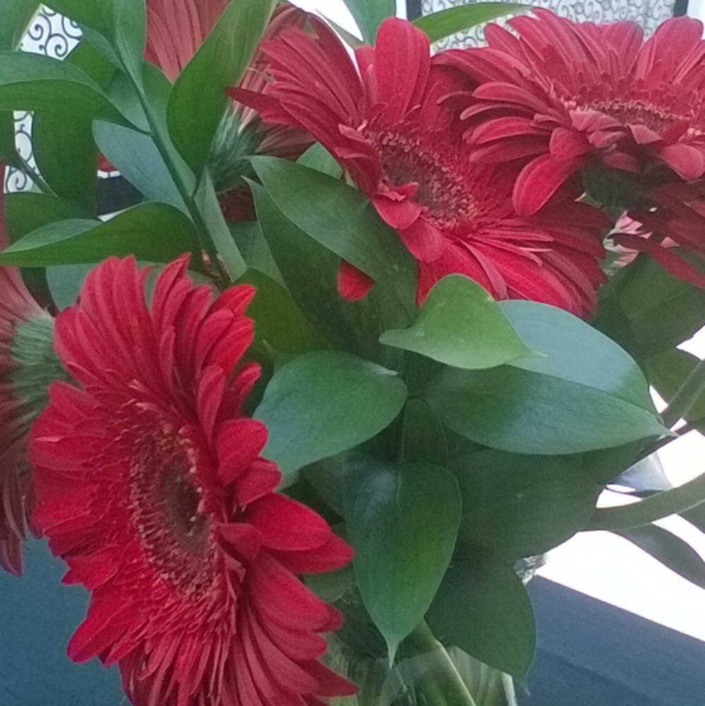 Meet your Posher, Noemi